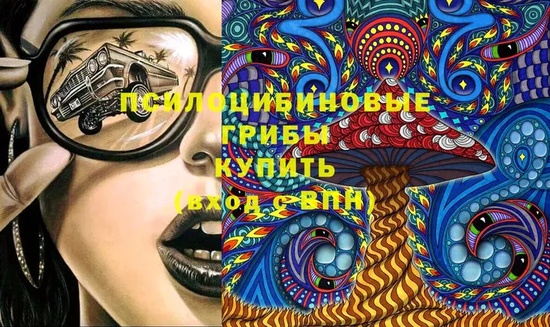 Галлюциногенные грибы GOLDEN TEACHER  Ликино-Дулёво 